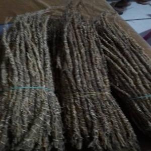 Gongolili Khamaré Vétiver - horticulture plante biocarburant nous sommes en pleine recolte de gongolili,  si vous recherchez les tiges de bonne qualité , à prix abordable,  merci de nous écrire pour une meilleure prise en charge.