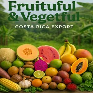  Fruits Légumes Du Costa Rica - fruits et légumes agriculteurs du costa rica- bio sans conservateurs ni pesticide--melon (cantaloup & + )--pastéques--pitahaya (dragon fruit)--cas--tamarindo--maracuya--zapote--guanabana (corossol)--ananas--bananes (cavendish & +)--citron--orange--startfruit--mamon chino (ramboutant)--papaye--mangue (irwin & +