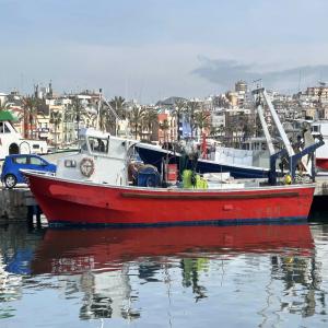  Bateau De Pêche Chalutier - equipement maritime bateu chalutier--- longueur 14, 90 mts--- largeur - 4, 01 mts--- mat&eacute;riel construction - fvpr--- equipement - complet--- anne construction - 1998--- lieu - espagne--- marque moteur - man mod. 2866--- puissance - 450 ch--- gt - 16, 87--- trb - 12, 50--- treuil acier--- &eacute;quipement &eacute;le