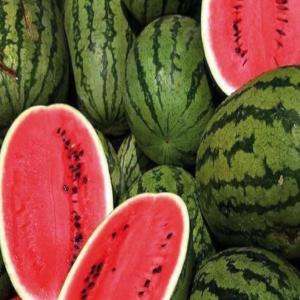  Pastèques De Zagora Qualité Premium - fruits et légumes past&egrave;ques sucr&eacute;es et juteuses de zagora calibre de 7 &agrave; 14 kg fra&icirc;cheur garantie. tres grande quantit&eacute; disponible livraison imm&eacute;diate. contactez nous d&egrave;s maintenant pour commander ! 0.92 /kg exw dans des grands palox