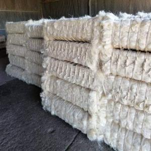  Quality Ug Grade Sisal Fiber Of Kenyan - other  white ug grade sisal fiber-- ug grade sisal fiber of kenyan origin--100% top quality sisal / purity 100% natural sisal fiber / sisal fiber best prices in kenya--ug grade sisal fiber--ug grade sisal fiber length 90-120cm--100% top quality sisal fibers from kenya--sisal fiber and flax fibers for read