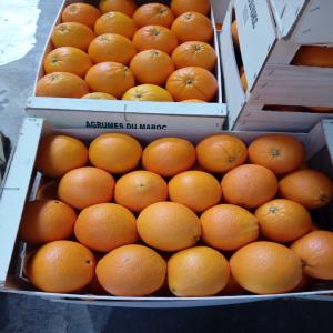  Orange De Jus Valencia Et Orange Navel - fruits et légumes comme d habitude on vous propose nos orange de jus valencia et orange navel thomson en tout calibres et emballage et qualité supérieur;