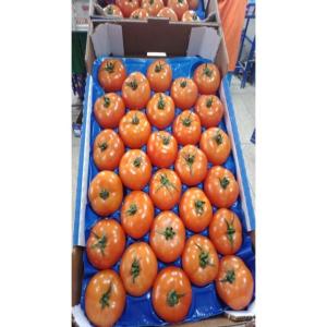  Tomates Et Cerises Du Maroc - fruits et légumes --origine - maroc--produits disponibles ---  tomates fra&icirc;ches (ronde,  cerise,  grappe,  etc.)--  cerises de qualit&eacute; premium (calibres vari&eacute;s)--qualit&eacute; ---produits cultiv&eacute;s selon les normes internationales--certification global gap et haccp disponible--tra&ccedil;abili