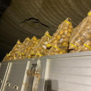  Pomme De Terre Disponible En Turquie - fruits et légumes pomme de terre disponible sous douanes en turquie avec un prix cif de 750 $ par tonne. quantit&eacute; ouverte