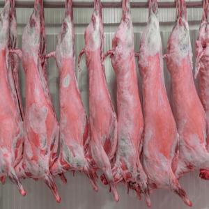  Viande Halal - viandes et oeufs nous proposons de la viande d'agneau halal qualit&eacute; sup&eacute;rieure origine europe.prix int&eacute;ressant. livraison partout en france.