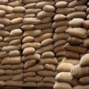  Cashew Nuts Offer Fob Guinea-bissau - roasted seeds and nuts dear costumer we are pleased to offer a substantial quantity of cashew nuts fob guinea bissau with a renewable stock of 42 000 metric tons available for immediate sale. the sales terms are as follows minimum quantity per shipment 4 200 metric tons current price usd 1 425 per metric