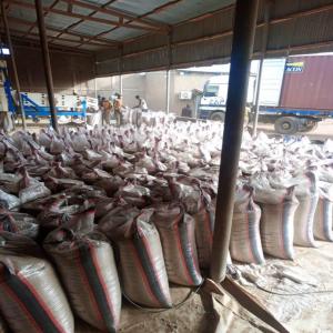  Premium White Sesame Seeds 48% Oil Content - other we offer high-quality white sesame seeds,  carefully selected and ready for export. our product meets international standards and is backed by certified laboratory analysis.----technical specifications---   origin- chad--   shipping method- fob douala (cameroon)--   oil content- 48%--   moisture- 4.8