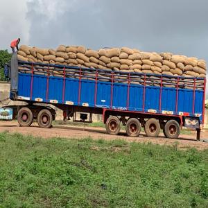  Disponibilité De Stock De Noix De Cajou - fruits secs et graines grillées disponibilité de stock de noix de cajou brute ( anacarde soigneusement trié ) dans nos entrepôts en côte d'ivoire .--produit - noix de cajou--origine- côte d'ivoire--grainage -180-220--humidité -8 % max--matière étrangère -1.00 % max--d&eac
