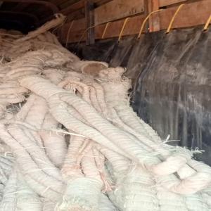  Raphia De Madagascar - matiere vegetale bonjour,  --nous sommes collecteurs de raphia de madagascar,  de la r&eacute;gion sofia,  nous poss&eacute;dons toutes les autorisations,  nous pouvons fournir 15 &agrave; 20t par mois,  si parmis les interress&eacute; il y a ceux qui sont bas&eacute;s &agrave; madagascar vous pouvez venir ce samedi nous