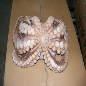  Offre De Poulpe Congele - poissons produit - poulpe entier congelé iqf--présentation - congelé individuellement (iqf),  entier,  non vidé--poids du carton - 20 kg --calibres disponibles -----    0.5/1 kg----    1/2 kg----    2/3 kg----    3 kg et plus (sur demande)----origine - maroc   --méthode de co