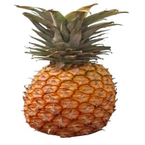  Importateurs Partenaires En Europe D'ananas - fruits et légumes nous cherchons des importateurs d'ananas sur l'union europ&eacute;enne.--nous cherchons des partenaires pour la distribution d'ananas sur l'union europ&eacute;enne.--nous produisons des ananas certifi&eacute;s aux normes europ&eacute;ennes.--nous cherchons des clients partenaires