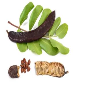  Selling Carob - vegetable matter carob is a product that needs no introduction due to its essential role and its medical and nutritional importance for humans. i provide this product at a good price and high quality. 
