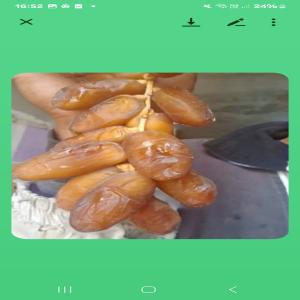 Datte - fruits et légumes cherche des acheteurs de dattes en provenance de tunisie.--datte deglet nour naturelles de bonnes qualités --