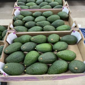  Fresh Fruit Avocado Avocados Fruits 4kg Box - fruits and vegetables fresh fruit avocado / avocados fruits 4kg box--approximately 10-16 avocado per box depending on the size,  weight and variety of the avocado fruit.--hass avocados (origin- south africa)----appearance--pebbly,  thick but supple skin--pale green flesh with creamy texture--dark skin when ripe----gross we
