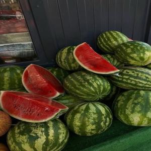  Pastèque Zagora, Maroc Qualité Premium - fruits et légumes past&egrave;ques sucr&eacute;es et juteuses de zagora calibre de 7 &agrave; 14 kg fra&icirc;cheur garantie. tr&egrave;s grande quantit&eacute; disponible livraison imm&eacute;diate. contactez nous d&egrave;s maintenant pour commander ! 0 77 /kg exw dans des grands palox