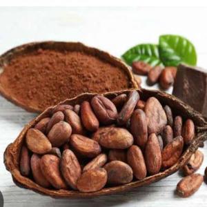  Partenaires D'achat Cacao - café cacao thé près des agriculteurs,  nous sommes en mesure de livrer une quantité importante des fèves de cacao. nous avons besoin des partenaires dans tous les pays afin que nous puissions livrer facilement notre production agricole en république démocratique du congo. 
