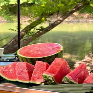  Pastèque Zagora, Maroc Qualité Premium - fruits et légumes pastèques sucrées et juteuses de zagora,  calibre de 9 à 15 kg,  fraîcheur garantie. très grande quantité disponible livraison immédiate.--contactez-nous dès maintenant pour commander !--- 0, 7  /kg exw