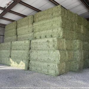  Premium Alfalfa Wheat Hay For Sale - aliments pour animaux premium alfalfa & wheat hay for sale   bulk & custom bales available--looking for top-quality forage? we offer high-grade alfalfa and wheat hay with flexible bale options and global delivery.----  available bale sizes & pricing---   3x4 bales   usd 265 per ton----   4x4 bales   usd 265 per ton----  