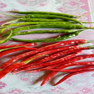  Piment Bec D'oiseau - fruits et légumes actuellement,  je recherche des clients pour a acheter des piment bec d'oiseau chili de madagascar,  il y a de frais et s&egrave;che. --on peut le produire toute la saison selon les besoins 