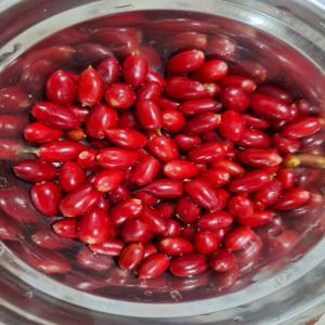  Baie De Miraculine Qualité Prenium - café cacao thé nous fournissons des baies matures de miraculine ( origine ouest africaine ) nous pouvons fournir autour de 200 kg mensuelle sur une base r&eacute;guli&egrave;re. n'h&eacute;sitez pas &agrave; nous contacter. 