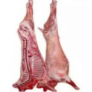  Mouton Entier Frais Halal - viandes et oeufs je cherche des fournisseurs de viande de mouton entier frais ,  pas congel&eacute;,  pour un contrat durable de 2 ans.--