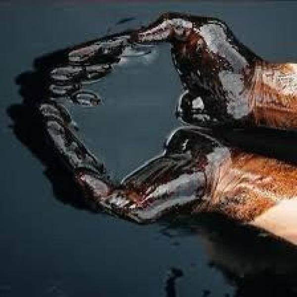  Crude Oil From Nigeria - pétrole gaz bonsoir,  nous disposons d'une forte capacité de livraison de petrole brut en provenance du nigeria.--procédure simple --grande flexibilité --contactez nous pour plus de renseignements. merci.