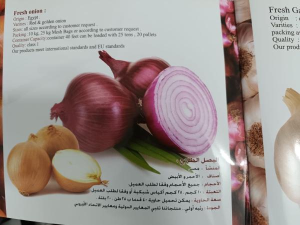 Fruits Et Legumes - fruits et légumes nous sommes une société égyptienne de fruits et légumes et exportons régulièrement en europe et dans le monde entier.----nous avons des oignons rouges et jaunes calibre 60 à 80 qualité classe 1.--nous avons également de l'ail en grande q