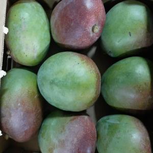  Mangue - fruits et légumes  nous vous proposons les mangues du benin avec un bon rapport qualite prix disponible aux prix attractifs et tres raisonnables. avec facilite de paiement 30% a la commande 70% a l arrivee.
