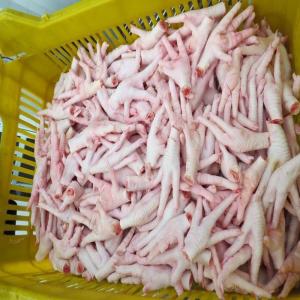  Volaille Et Pattes De Poulet - viandes et oeufs  a tous. je peux vous fournir de la volailles en grandes quantit&eacute;s par mois et possibilit&eacute; avec un contrat sur 1an. actuellement je peux vous fournir 1350mts ( 50 conteneurs ) ar mois de chicken paws si cela vous int&eacute;resse donc vous pouvez me contacter pour plus