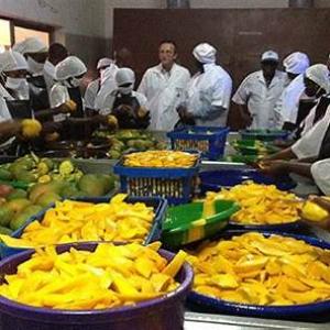  Export De Fruits Et Legumes Du Maroc - fruits et légumes entreprise marocaine sp&eacute;cialis&eacute;e dans l exportation de produits agroalimentaires de qualit&eacute; sup&eacute;rieure. forts d'une exp&eacute;rience consolid&eacute;e dans le secteur,  nous proposons une gamme diversifi&eacute;e de produits r&eacute;pondant aux standards internationaux.-