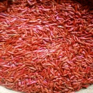  Pilipili De Madagascar - épices aromates pilipili rouge très sècs de madagascar --prix 5000euro la tonne.--on peut livreur 5tonnes par mois--si interessés contactez-nous 