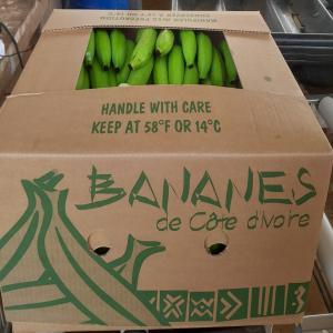  Nous Cherchons Des Distributeurs De Banane - fruits et légumes producteur de banane douce,  banane desert,  fruits et legumes exotiques recherche des importateurs,  distributeurs,  revendeurs,   pour la distribution de produits exotiques en europe.----ci-dessous les fruits et légumes exotiques que nous pouvons vous fournir.----01. mangue--02. banane fruits--0