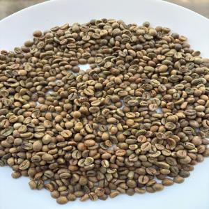  Café D'ouganda Arabica - café cacao thé cafe ---cafe vert de haute qualit&eacute; provenant des montagnes en ouganda.--arabica - cafe premium--robusta - fort prononc&eacute; pour les expressos--qualit&eacute; et prix ---rwenzrori mountain arabica grade a --rwenzori mountain arabica grade b ----rwenzori mountain robusta grade a --rwenzori 