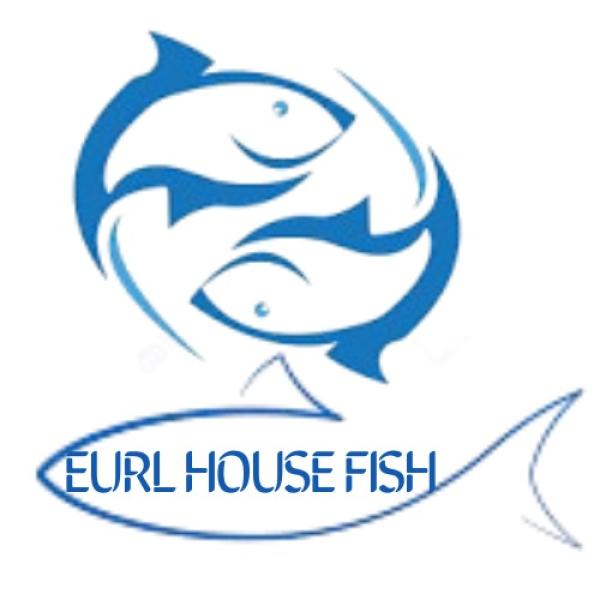  Cherche Des Fournisseurs - poissons bonjour--nous sommes une soci&eacute;t&eacute; d'importation des poissons et produit de la mer,  bas&eacute; en alg&eacute;rie, exactement &agrave; oran, nous cherchons un fournisseur de filet de pangasius (conditionnement 1kg et 500g), cordialement 