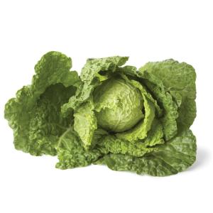  Repollo - fruits et légumes nous vous aproposant nos repollo  en tout calibres et emballage, tres bonne qualite et couleur naturel alors veuillez nous contactre pour plus d information
