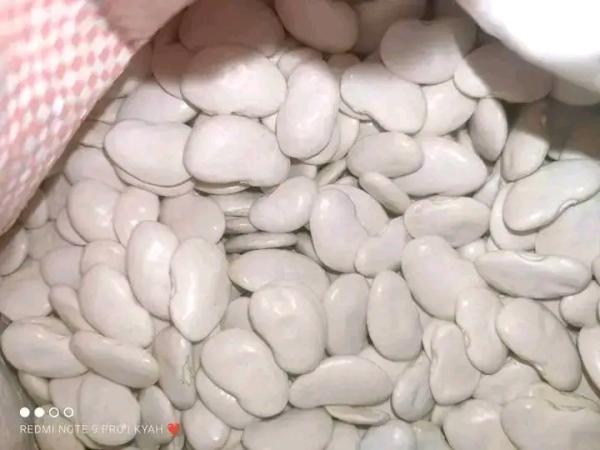 Pois du cap sec - fruits et légumes pois du cap sec des très bonnes qualités,  déjà trié. prix 800euro la tonne cfr--quantité minimum accepté 100tonnes.--livraison de suite après confirmation de commande--mode de paiement 100% avant embarquement ou 50% à la commande et 50% 
