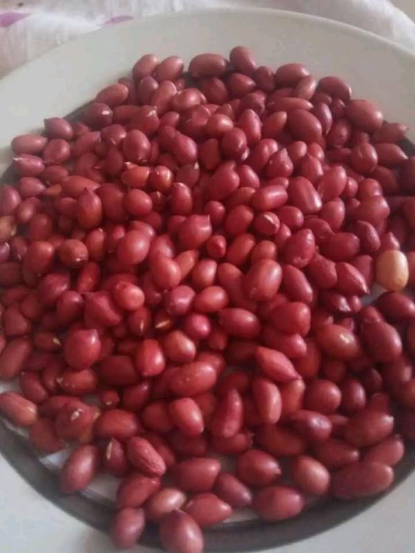  Pistaches Et Cacaouette - fruits secs et graines grillées nous vendons des pistaches rouge et roses p&acirc;le nature de tr&egrave;s grande quantit&eacute; 150 tonnes disponible prix 950euro la tonne cif quantit&eacute; de commande accept&eacute; 150tonnes minimum. mode de paiement.par virement bancaire avec une avance sur commande 50% et solde contre
