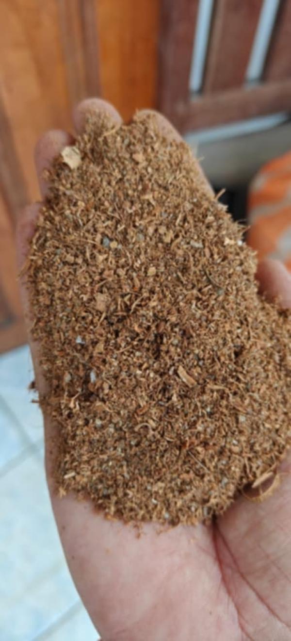  Poudre De Cannelle Naturelle - épices aromates nous cherchons des clients pour notre produits poudre des cannelles tout naturelle.--tonnage dispo de suite 4tonnes,  prix 5100euro la tonne.--nous avons d'autre poudre aussi comme  les poudres de gingembre,   poudre de curcuma,  poudre de l'ail.--si intéressé,  veuillez nous contacter dir