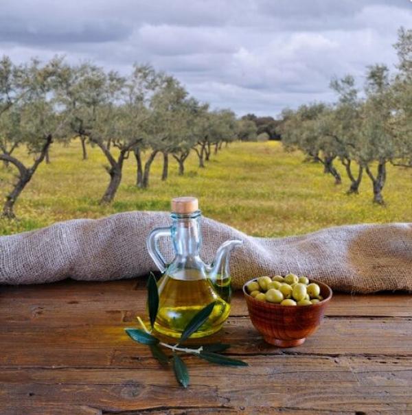  Huile Olive Extra Vierge Récolte 2025 - huiles    100% naturelle   pressée à froid   goût authentique du terroir----nous mettons en vente une huile d olive extra vierge de très haute qualité,  issue de la récolte de cette année (2025),  directement extraite de notre oliveraie familiale.--