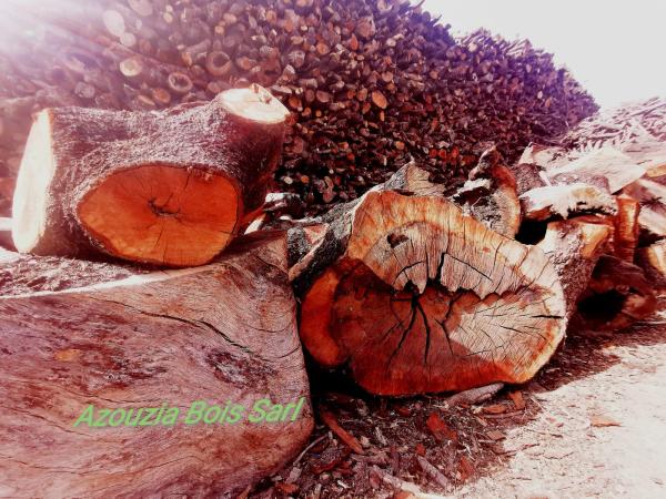  Bois De Chauffage Secher Na - autres    fournisseur de bois de chauffage de qualité   olivier & pin......   vrac ou palettisé   séchage naturel--nous sommes une entreprise marocaine spécialisée dans l'exploitation forestière et le négoce de bois de chauffage de haute qualité. nos 
