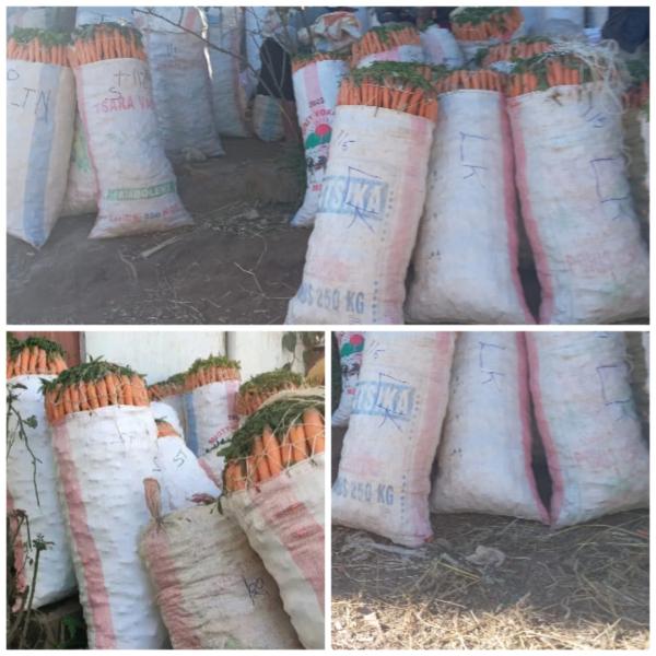  Carotte Calibre +18cm - fruits et légumes carotte calibre +18mm--quantité disponible à exporter 50tonnes--prix 500euro la tonne cif ou fob dépend du pays importateur--marchandises livrées avec un certificat phytosanitaire.--lieu d'origine madagascar--