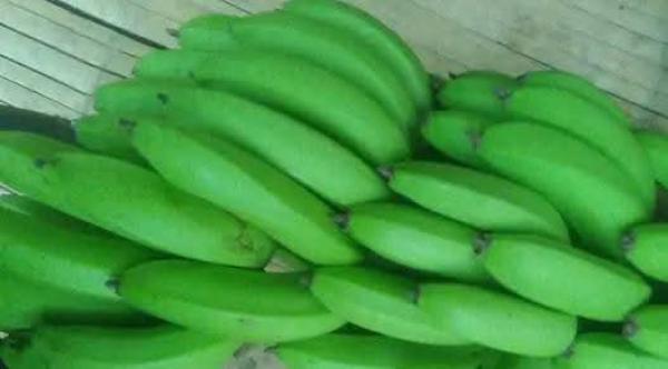  Banane - fruits et légumes nous sommes exportateur &agrave; madagascar. nous pouvons fournir des bananes &agrave; seulement 350euro la tonne. nous acceptons un contrat de 1000tonnes. livraison 10conteneurs par semaine avec ce contrat. mode d'emballage carton. mode de paiement 50% &agrave; la commande et 50% apr&egrave;s 