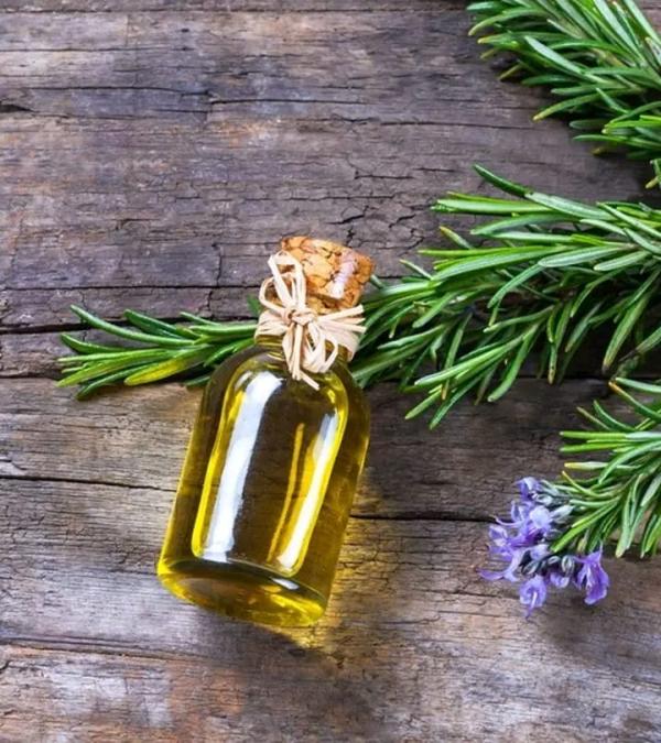  Huile De Romarin Bio Origine Tunisie - huiles vous recherchez une huile essentielle 100 % naturelle et certifiée biologique ?--nous vous proposons notre huile de romarin bio,  extraite à froid à partir de plantes cultivées naturellement dans les régions ensoleillées de tunisie.-- qualité - certifi