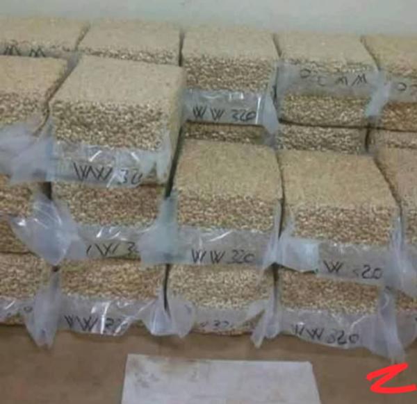  Amandes De Cajou - autres bonsoir chers partenaires,  nous sommes agréés dans les usines suivantes - gdiz et fludor bénin. --nous cherchons des acheteurs potentiels dans le domaine d'achat de cajou pour ---1) les amandes de cajou de tout grades ( 35.000 tonnes)----nous vendons au meme prix d'usine; nous p
