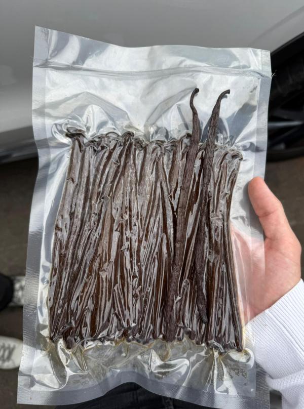  Vanille Bourbon Grade (tk Non Fondu) - épices aromates nous proposons 6 tonnes de gousses de vanille tk non fondues origine madagascar r&eacute;colt&eacute;es par notre propre famille. les gousses mesurent entre 16 et 18 centim&egrave;tres avec un taux d humidit&eacute; moyen de 32% et une teneur en vanilline de 1 9% &agrave; 2 2%. parmi elles 1 8 