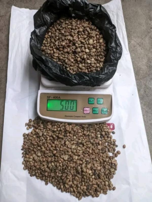  Café Robusta Noir - café cacao thé bonjour, --nous pouvons recevoir une commande de 300tonnes de café robusta.--prix 5500euro la tonne cif pour une commande de 300tonnes--mode.de.paiement 50% à la commande et 50% contre documents ou à l'embarquement aussi --délai de livraison 5-7jours après validatio