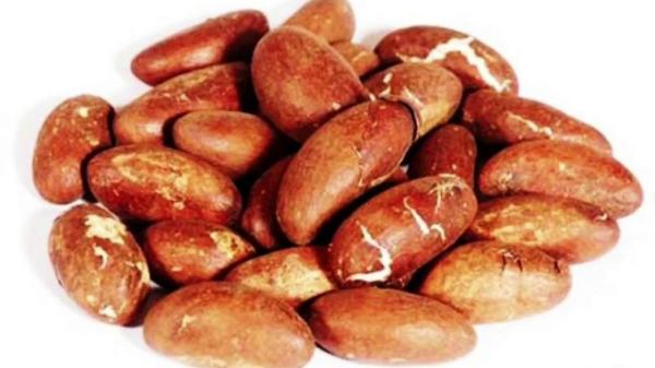  Vente De Bitter Kola - fruits secs et graines grillées particulier recherche de gros clients pour la vente de bitter kola en grande quantité.interessé contactez-moi sur whatsapp