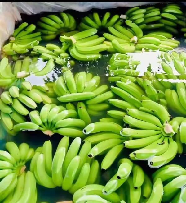  Attieke, Manioc, Banane - autres notre entreprise spécialisée dans l exportation agroalimentaire en provenance de côte d ivoire,  vous propose une sélection de produits traditionnels à forte valeur culturelle.----banane plantain--banane cavendish (asie)--manioc--attiéké royal----contac