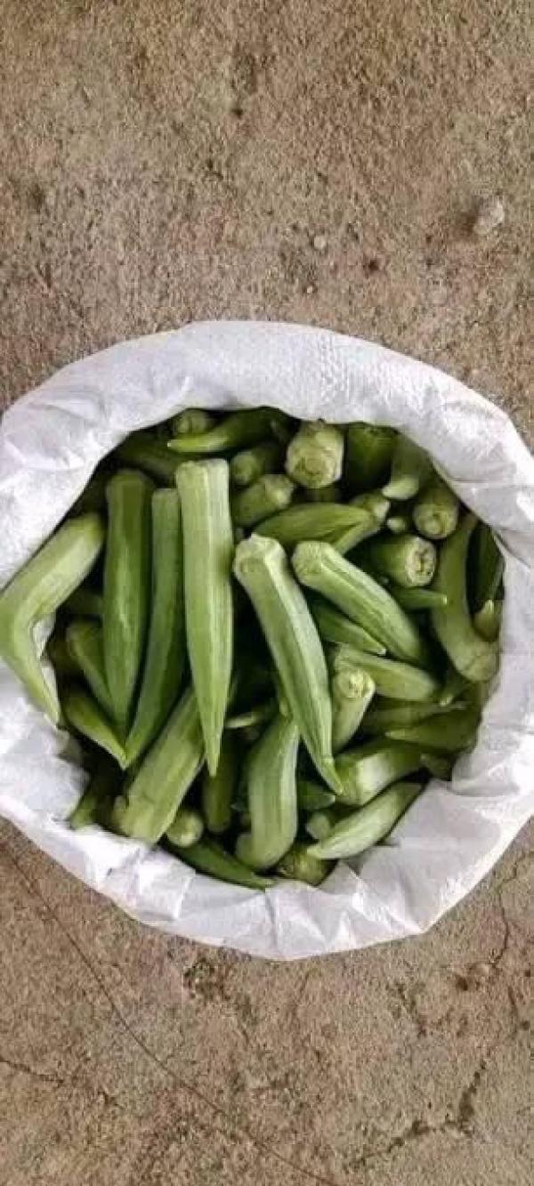  Gombo Frais Prenium 100% Bio - fruits et légumes bonjour,  nous disposons de gombo frais de tr&egrave;s bonne qualit&eacute;. nous avons la vari&eacute;t&eacute; clemson et la vari&eacute;t&eacute; okra. si vous etes dans le besoin passez vos commandes pour une satisfaction garantie. --bien cordialement &agrave; vous 