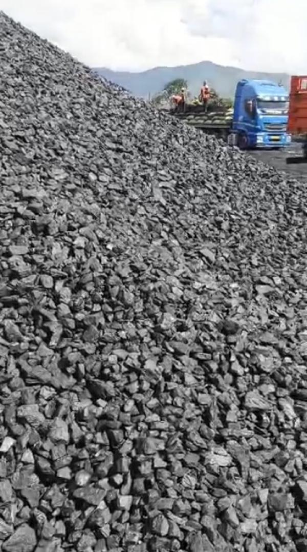  Excellent Charbon De Tanzanie - wood charcoal fiber dear customers, ----we sell coal from tanzania at the following current fob mtwara port prices-----0–50 mm = usd 48 per metric ton--30–75 mm = usd 50 per metric ton--50–100 mm = usd 52 per metric ton----i will send you the product specifications by email prior to your first order.----best regards, 